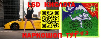 индика Донецк