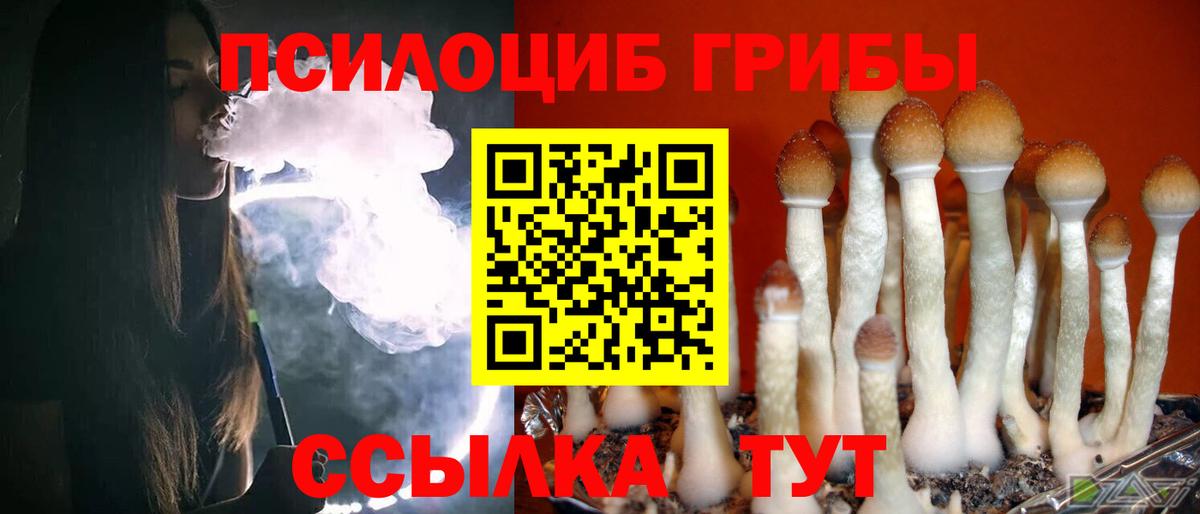 Псилоцибиновые грибы Psilocybe  Вход с VPN  Саяногорск 